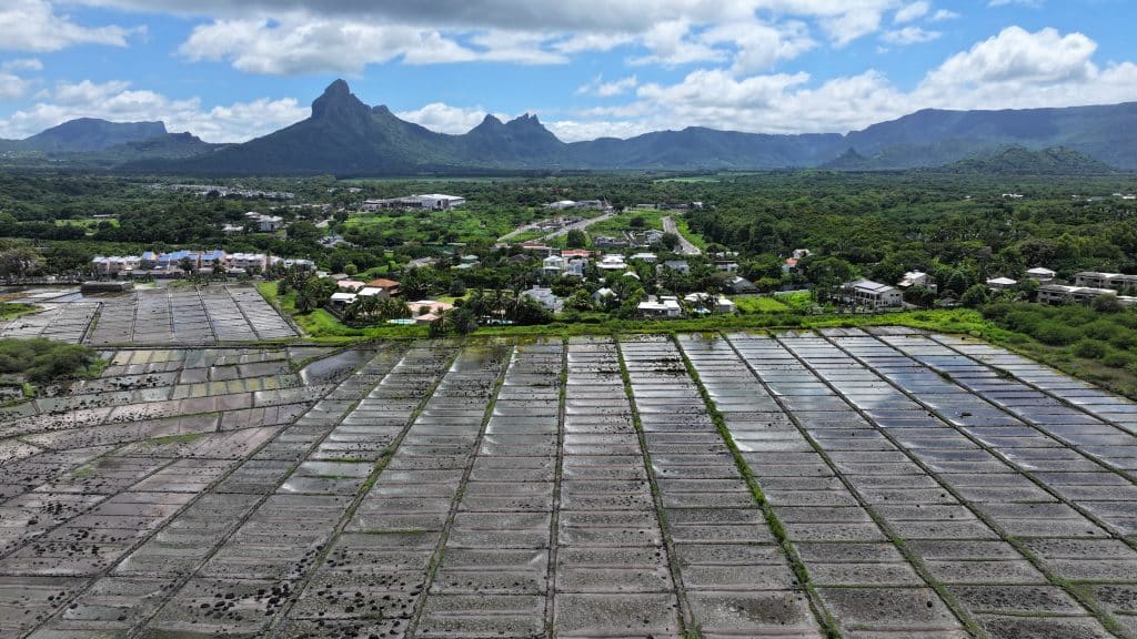 Saline di Tamarin Mauritius 